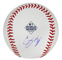 Load image into Gallery viewer, World Series Autographed Baseballs
